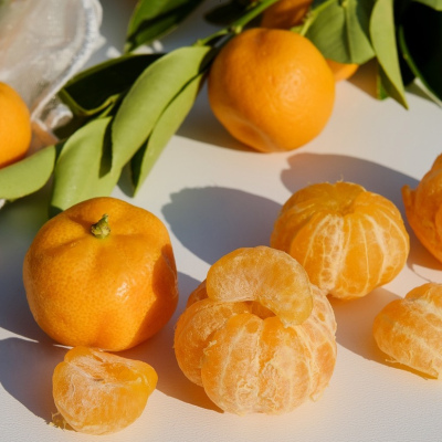 Mittelmeermandarine "Citrus Reticulata"